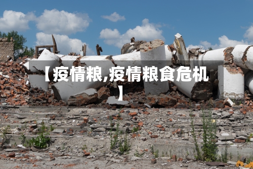 【疫情粮,疫情粮食危机】-第1张图片