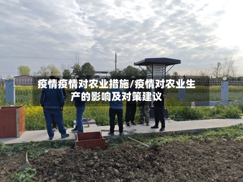 疫情疫情对农业措施/疫情对农业生产的影响及对策建议-第1张图片