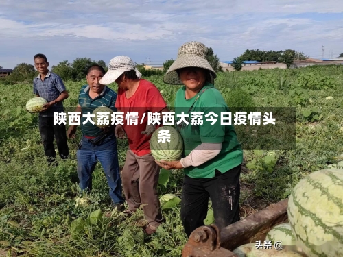 陕西大荔疫情/陕西大荔今日疫情头条-第1张图片