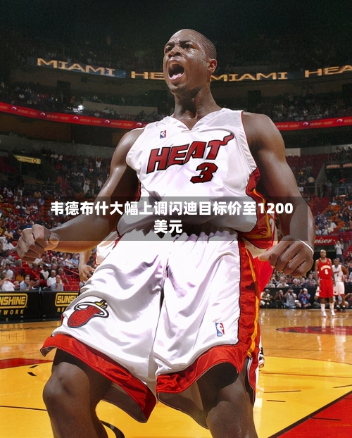 韦德布什大幅上调闪迪目标价至1200美元-第1张图片