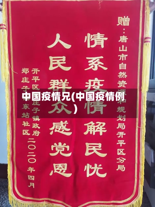 中国疫情兄(中国疫情例)-第1张图片