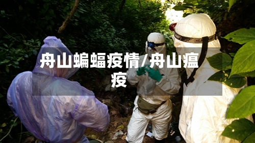 舟山蝙蝠疫情/舟山瘟疫-第1张图片