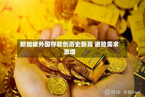 新加坡外国存款创历史新高 避险需求激增-第1张图片