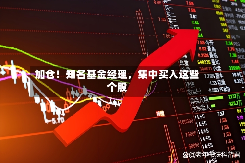 加仓！知名基金经理	，集中买入这些个股-第1张图片