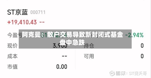 阿克曼：散户交易导致新封闭式基金盘中急跌-第2张图片
