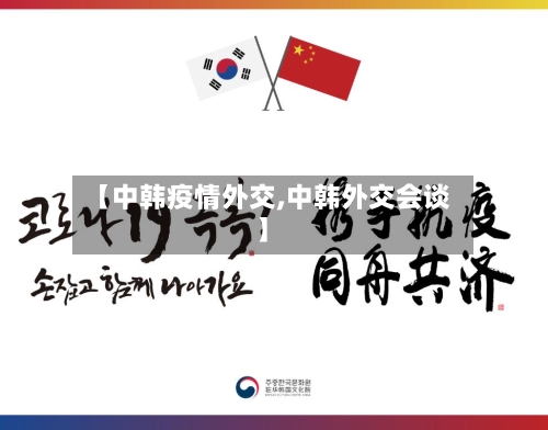 【中韩疫情外交,中韩外交会谈】-第2张图片
