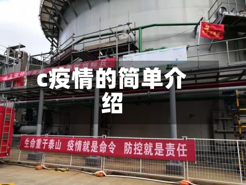 c疫情的简单介绍-第1张图片