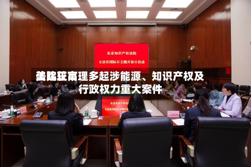 美比较高法院正审理多起涉能源、知识产权及行政权力重大案件-第3张图片