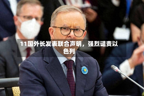 11国外长发表联合声明，强烈谴责以色列-第1张图片