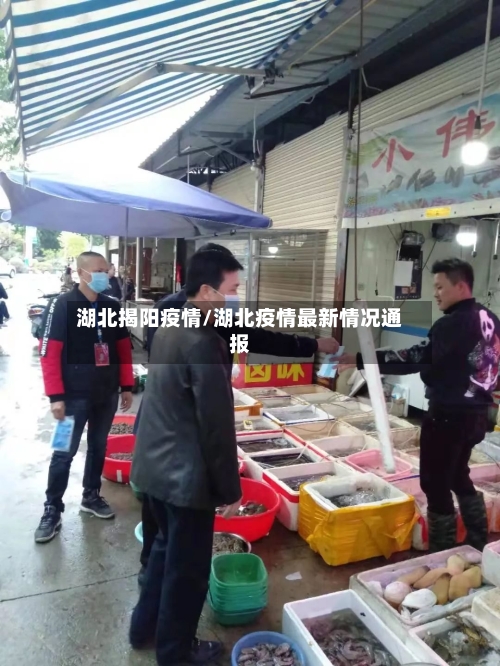 湖北揭阳疫情/湖北疫情最新情况通报-第1张图片
