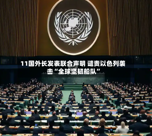 11国外长发表联合声明 谴责以色列袭击“全球坚韧船队	”-第1张图片