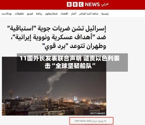 11国外长发表联合声明 谴责以色列袭击“全球坚韧船队”-第2张图片