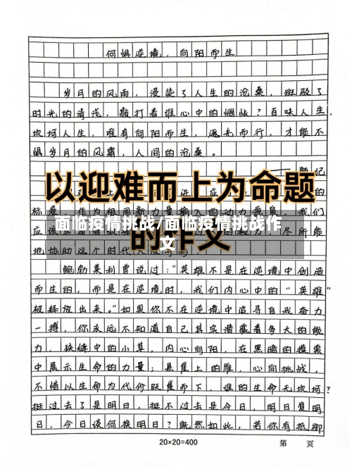 面临疫情挑战/面临疫情挑战作文-第1张图片
