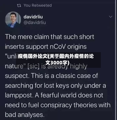 疫情国外论文(关于国内外疫情的论文3000字)-第1张图片