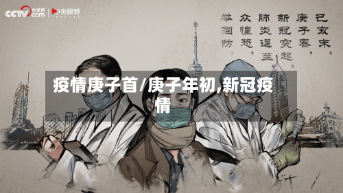 疫情庚子首/庚子年初,新冠疫情-第2张图片