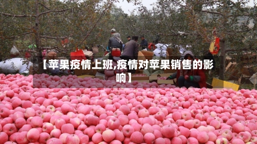 【苹果疫情上班,疫情对苹果销售的影响】-第1张图片