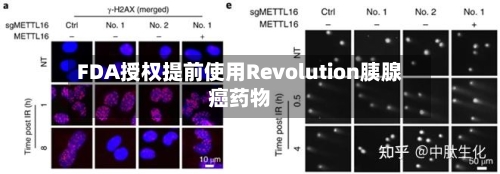 FDA授权提前使用Revolution胰腺癌药物-第1张图片