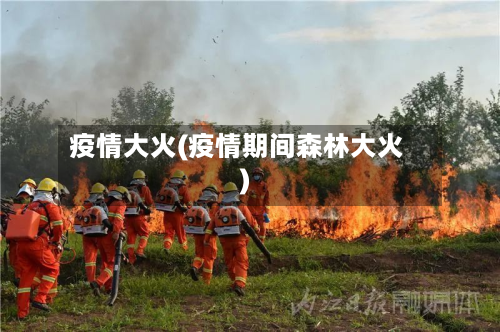 疫情大火(疫情期间森林大火)-第1张图片