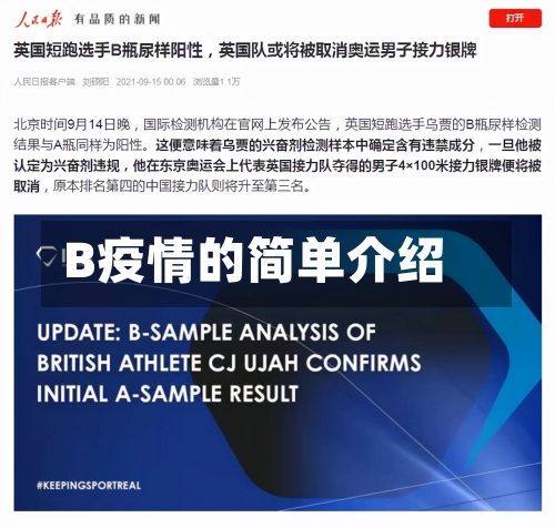 B疫情的简单介绍-第2张图片