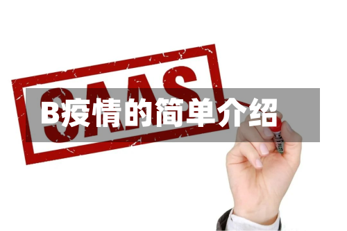 B疫情的简单介绍-第3张图片