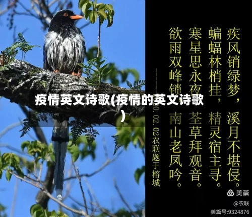 疫情英文诗歌(疫情的英文诗歌)-第1张图片