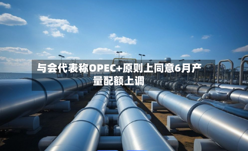 与会代表称OPEC+原则上同意6月产量配额上调-第1张图片