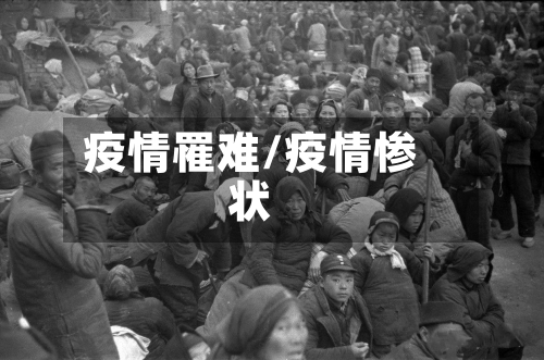 疫情罹难/疫情惨状-第1张图片
