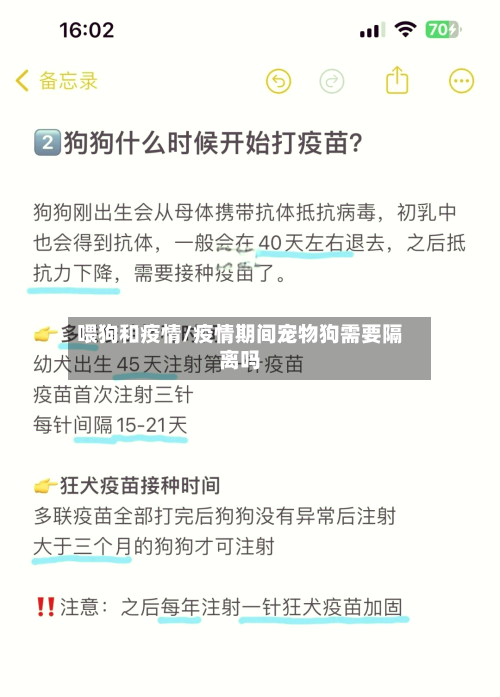 喂狗和疫情/疫情期间宠物狗需要隔离吗-第1张图片