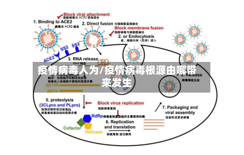 疫情病毒人为/疫情病毒根源由哪带来发生-第1张图片