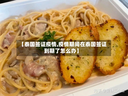 【泰国签证疫情,疫情期间在泰国签证到期了怎么办】-第2张图片