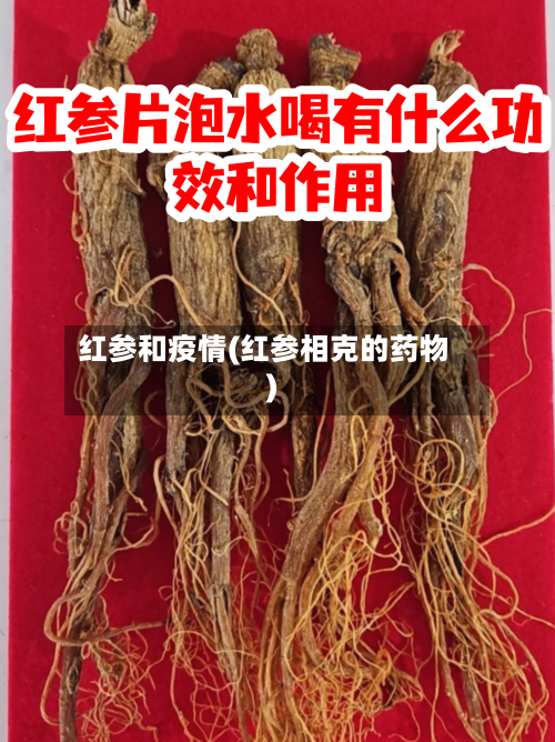 红参和疫情(红参相克的药物)-第1张图片
