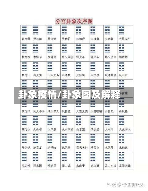 卦象疫情/卦象图及解释-第1张图片