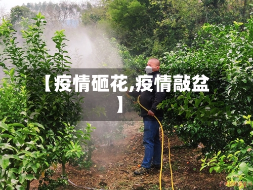 【疫情砸花,疫情敲盆】-第2张图片
