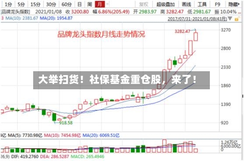 大举扫货！社保基金重仓股	，来了！-第1张图片