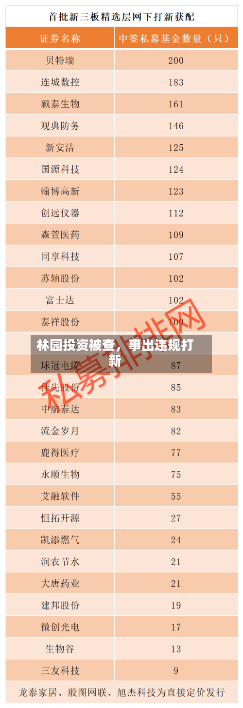 林园投资被查，事出违规打新-第1张图片