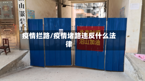 疫情拦路/疫情堵路违反什么法律-第1张图片