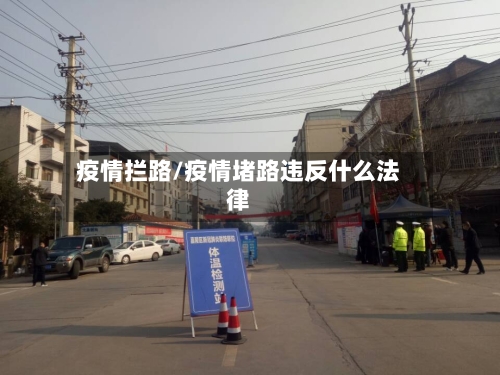 疫情拦路/疫情堵路违反什么法律-第2张图片