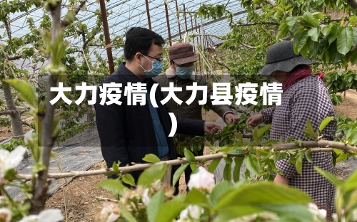 大力疫情(大力县疫情)-第1张图片