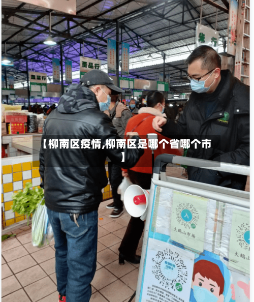 【柳南区疫情,柳南区是哪个省哪个市】-第3张图片