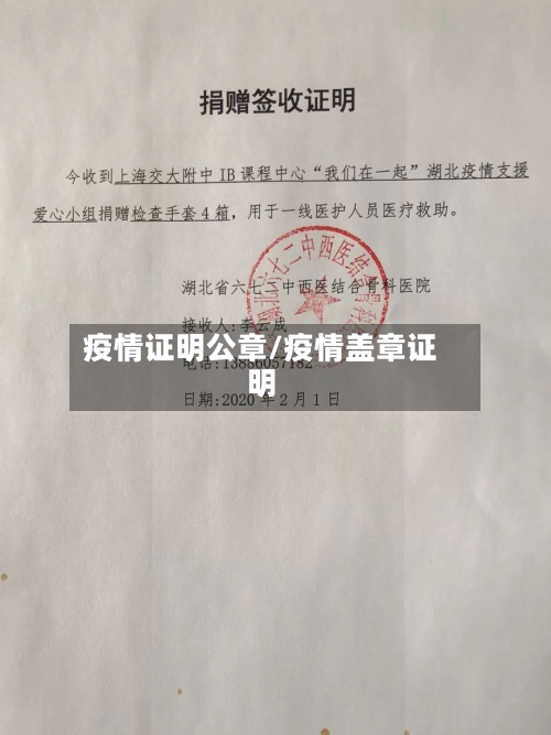 疫情证明公章/疫情盖章证明-第2张图片