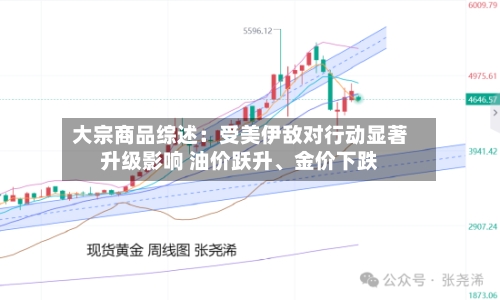 大宗商品综述：受美伊敌对行动显著升级影响 油价跃升、金价下跌-第1张图片