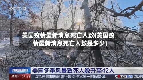 美国疫情最新消息死亡人数(美国疫情最新消息死亡人数是多少)-第1张图片