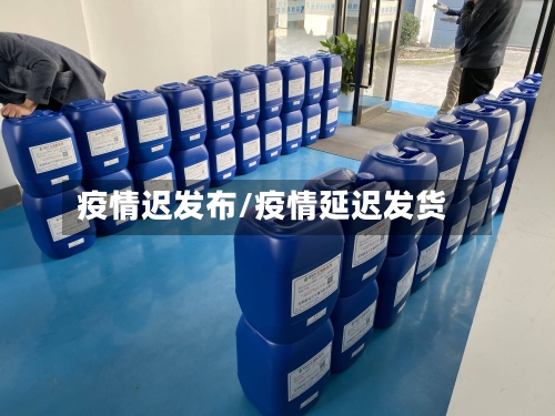 疫情迟发布/疫情延迟发货-第3张图片