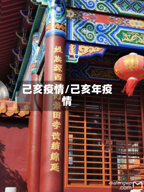 己亥疫情/己亥年疫情-第1张图片