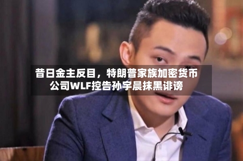 昔日金主反目，特朗普家族加密货币公司WLF控告孙宇晨抹黑诽谤-第2张图片