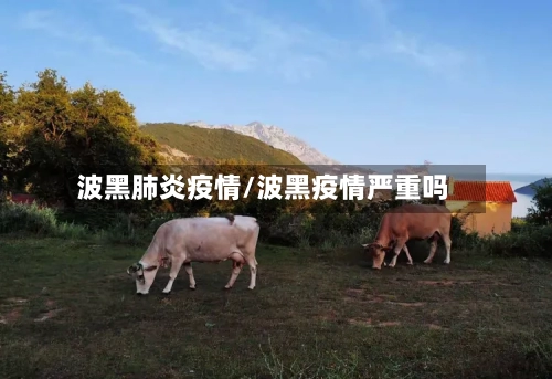 波黑肺炎疫情/波黑疫情严重吗-第1张图片
