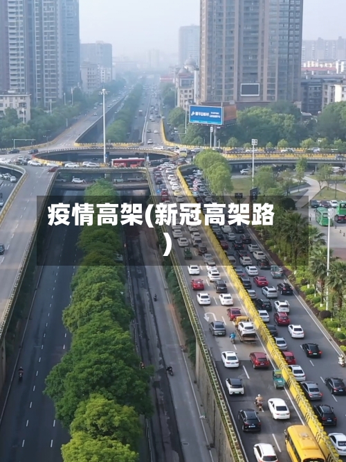 疫情高架(新冠高架路)-第1张图片