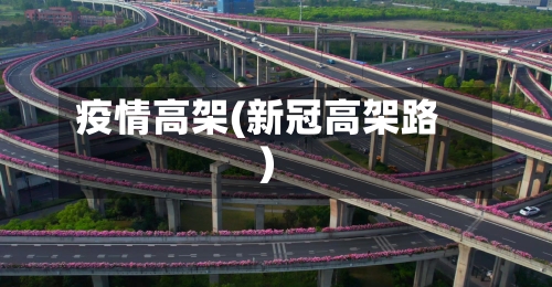 疫情高架(新冠高架路)-第3张图片