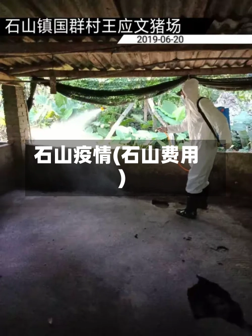 石山疫情(石山费用)-第1张图片