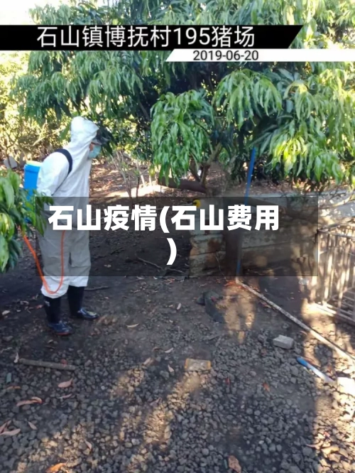 石山疫情(石山费用)-第2张图片